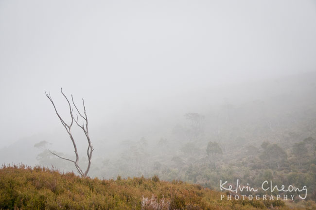 Cradle-Mountain-28 Cradle-Mountain-28