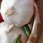 garlic