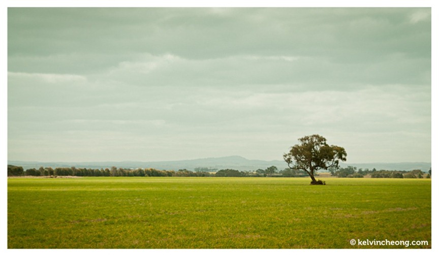 geelong-01