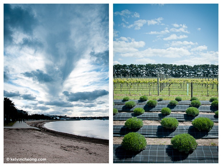 geelong-06