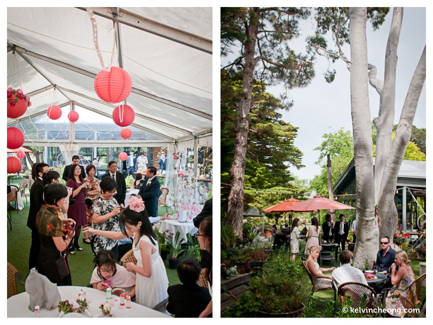 geelong-wedding-wg-25