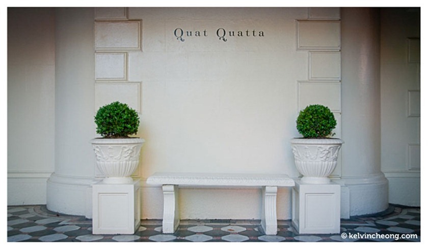 quat-quatta-2